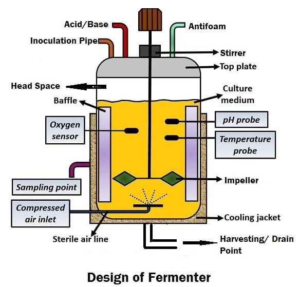 FERMENTER: FUNCTIONS, TYPES, DESIGN & CONSTRUCTION: 2 Fermenter